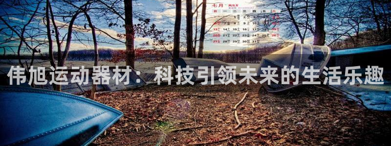 球速体育QsTY官网下载招商电话号码查询:伟旭运动器材:科技